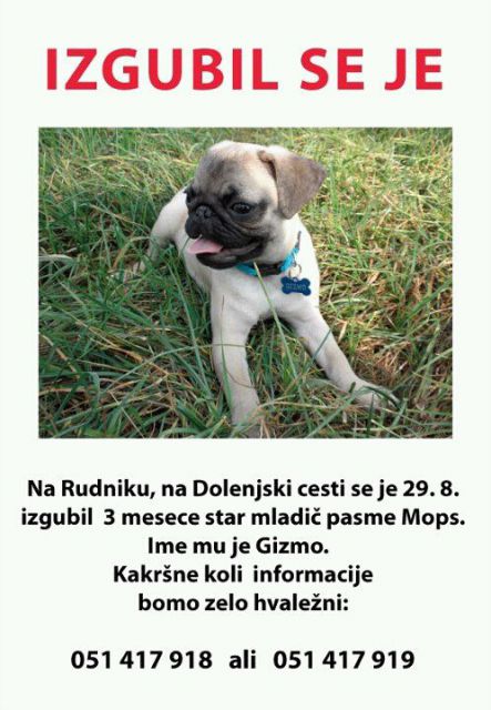Slika