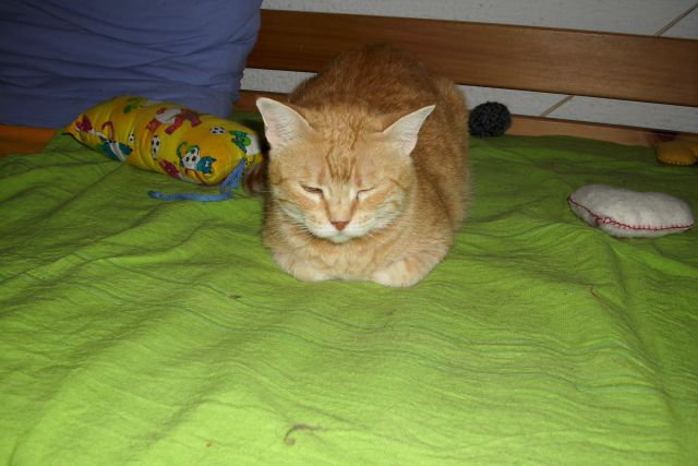 Slika