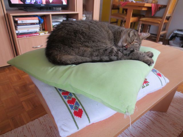 Slika