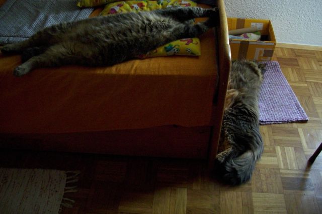 Slika