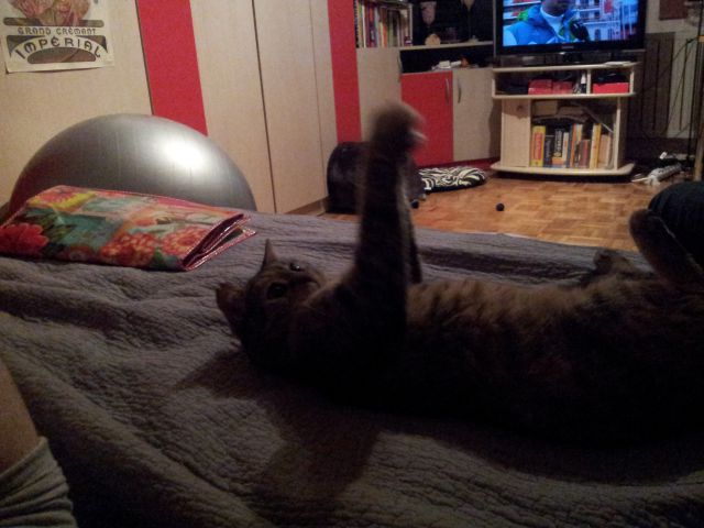 Slika