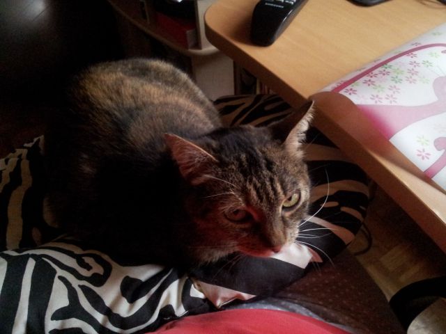 Slika