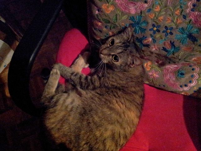 Slika