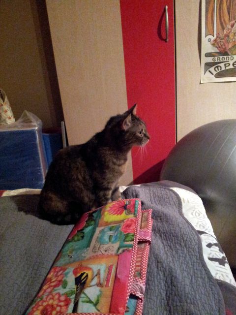 Slika
