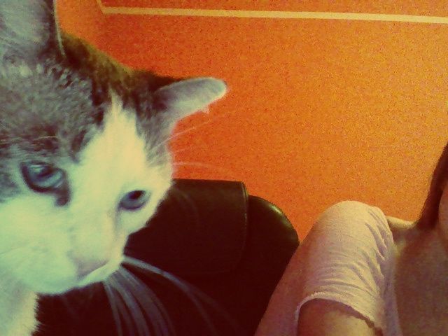 Slika