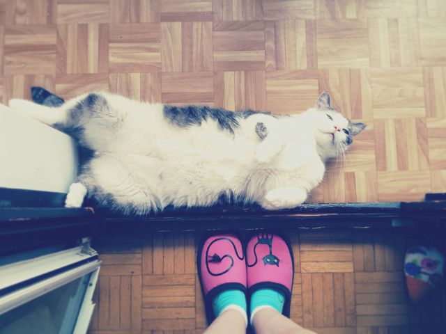 Slika