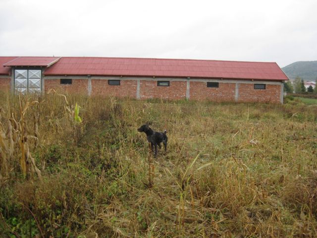 s0.mojalbum.com/8404080_17456196_19124246/2011-tigra-haus/19124246.jpg