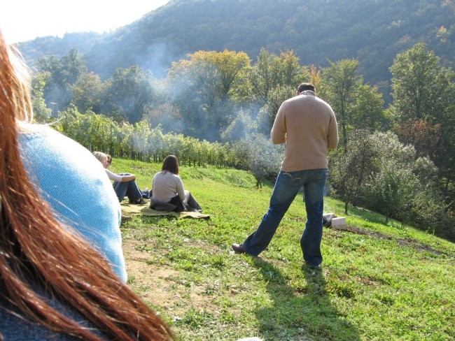 Piknik  - foto povečava