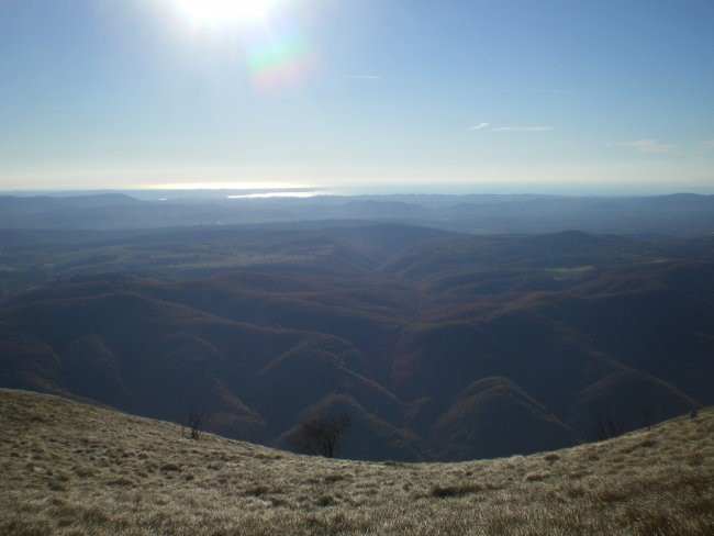 Neza&jasna - foto povečava