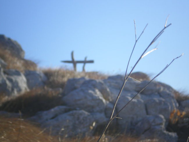 Neza&jasna - foto povečava