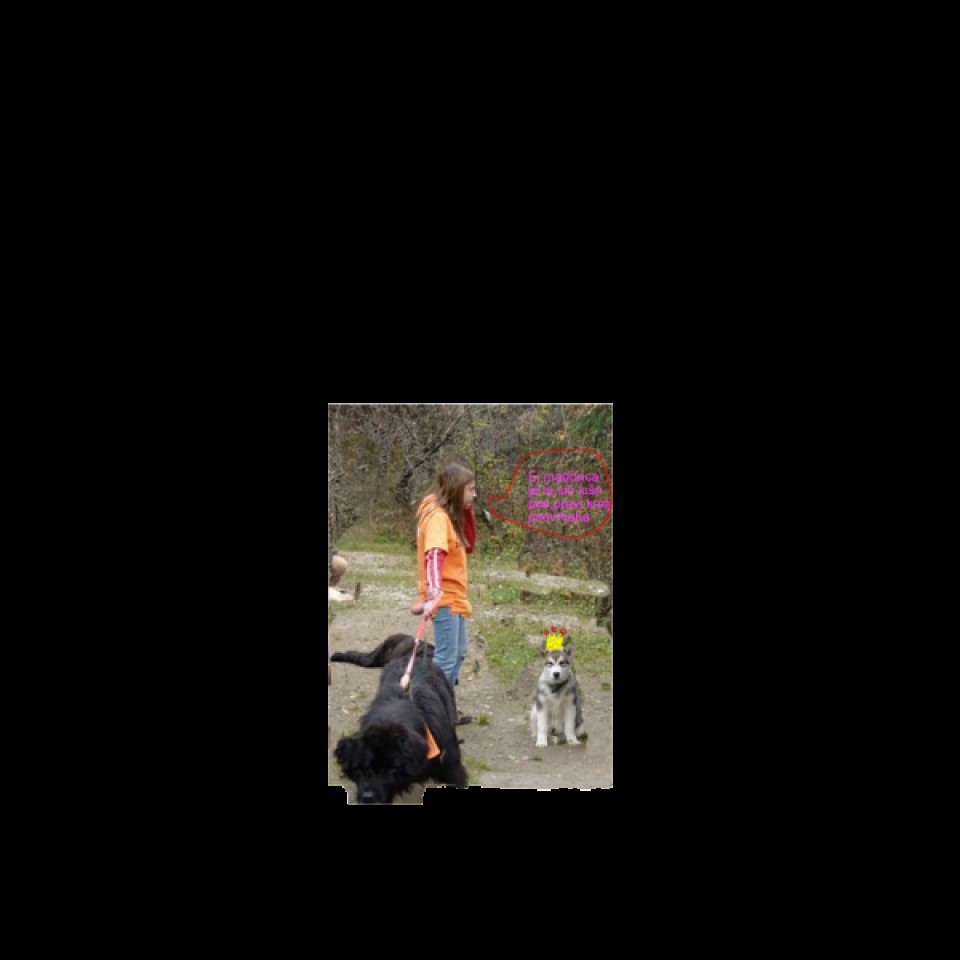 Moje slike ! - foto povečava