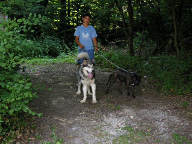 Sib & shanti - foto povečava