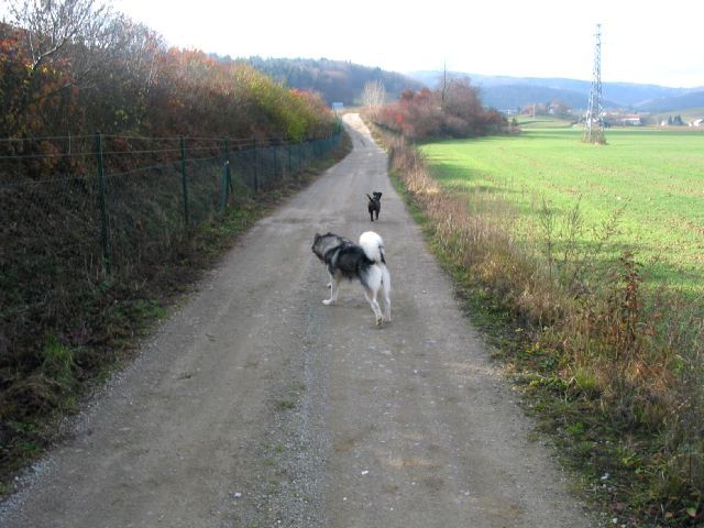 November 2006 - foto povečava