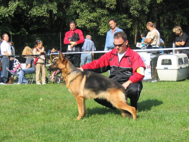 ROXY ZLATOLIČNA - foto povečava