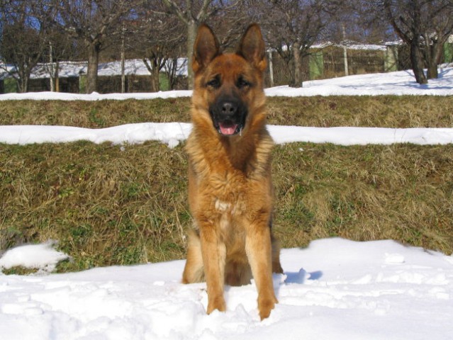  Roxy v snegu