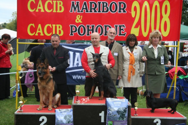 CACIB Maribor - DEX- BIS2-veteran