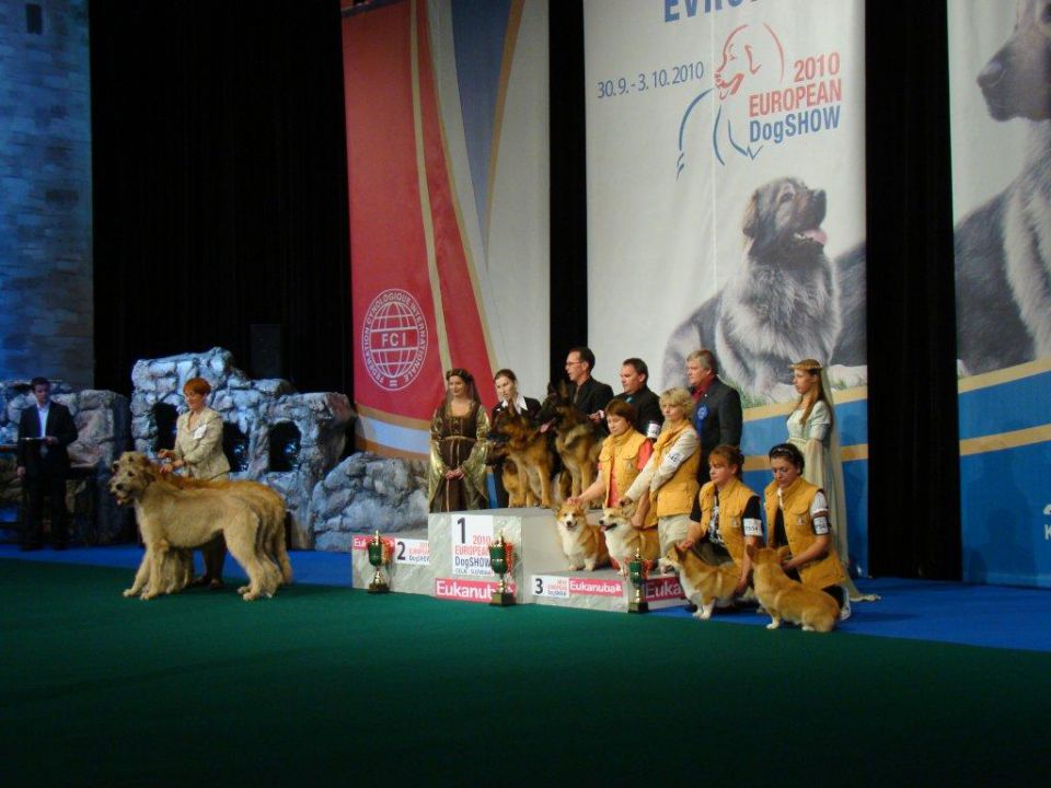 EURO DOG SHOW CELJE 2010 - foto povečava