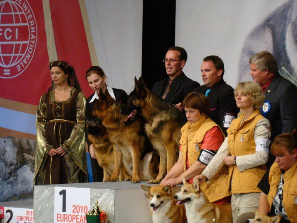 EURO DOG SHOW CELJE 2010 - foto povečava