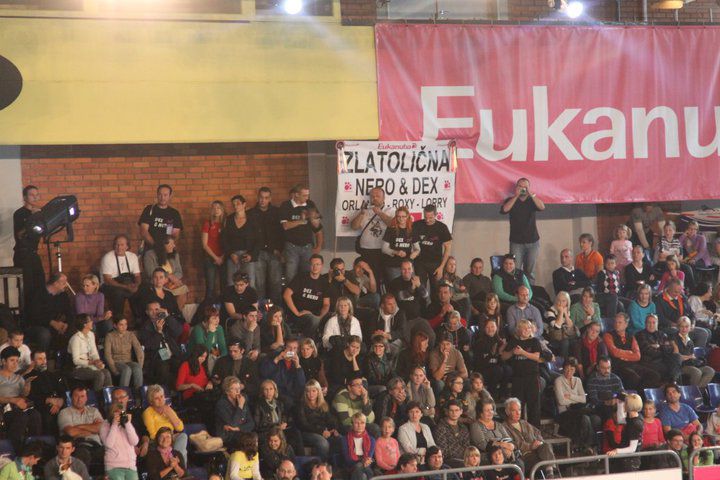 EURO DOG SHOW CELJE 2010 - foto povečava