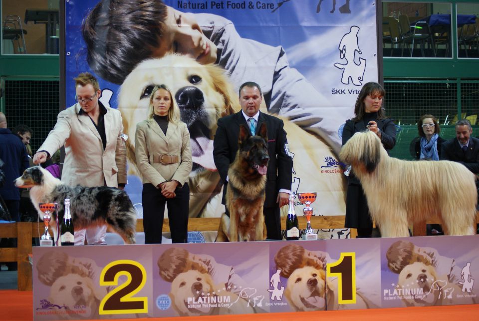 CACIB VRTOJBA 2010 - foto povečava