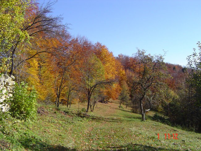 Medijski grad z okolico - foto povečava