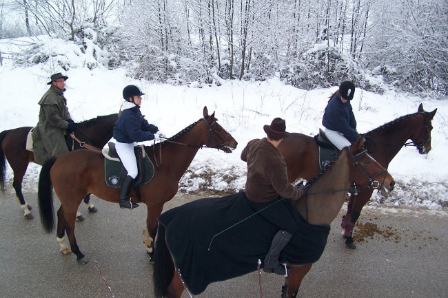 Štefanovo 2007, Šentjernej - foto povečava