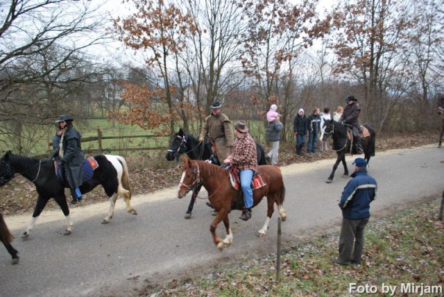 Štefanovo 2008, Šentjernej - foto