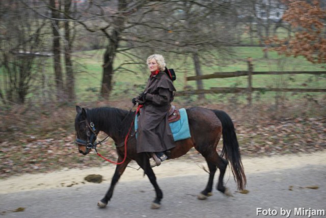 Štefanovo 2008, Šentjernej - foto