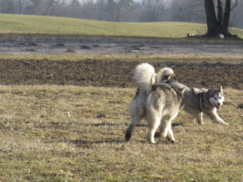 Februar 2008-s - foto povečava