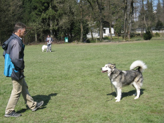 Spomladanski vzrejni pregled FCI 5 - 30.3.200 - foto povečava