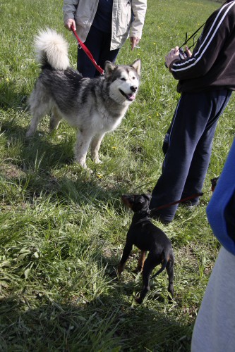 Brezovica - Aska na obisku pri MT-jčkih - 26. - foto povečava