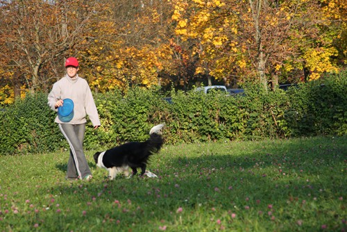 Frizbi trening - Tivoli - 12.10.2008 - foto povečava