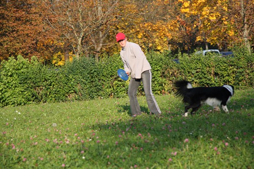 Frizbi trening - Tivoli - 12.10.2008 - foto povečava