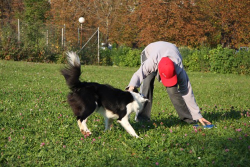 Frizbi trening - Tivoli - 12.10.2008 - foto povečava