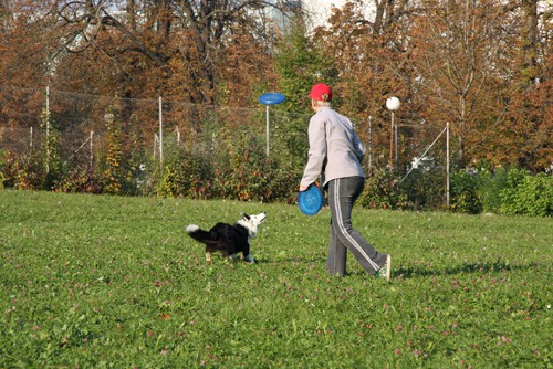 Frizbi trening - Tivoli - 12.10.2008 - foto