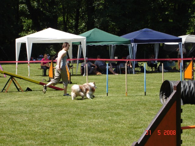 Agility tekma - KD Maribor - 31.5.2008 - foto