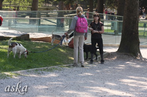 ZOO - Aska, Luna, Aja in Lun - 13.4.2009 - foto povečava