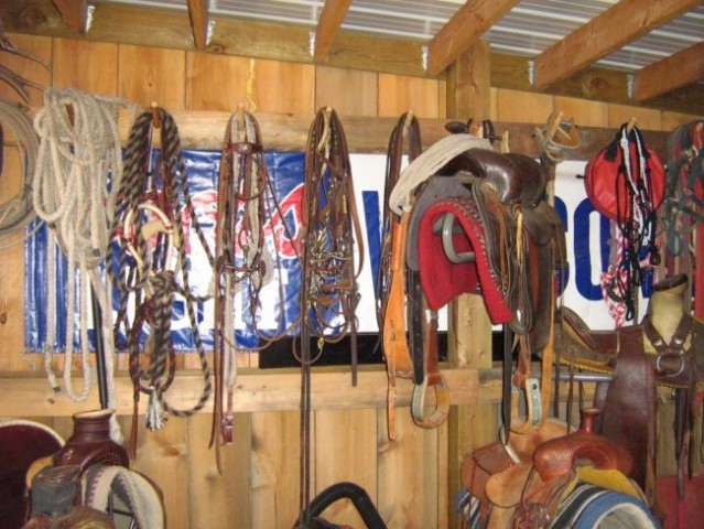 Shed - bridles and ropes...