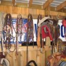 Shed - bridles and ropes...