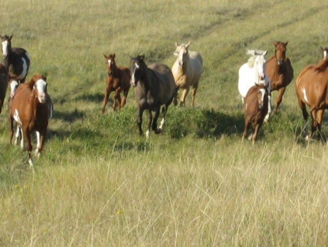 Just running to us to say hi (of course wthout any hidden agenda like 