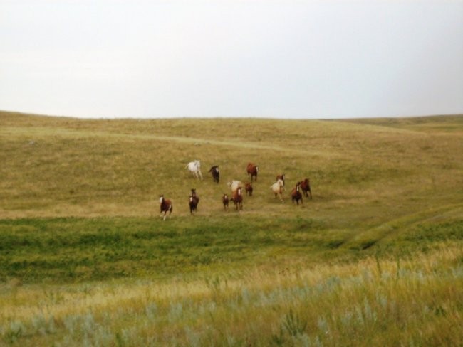 The GIRLS running to us after one whistle