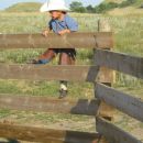 Little cowboy