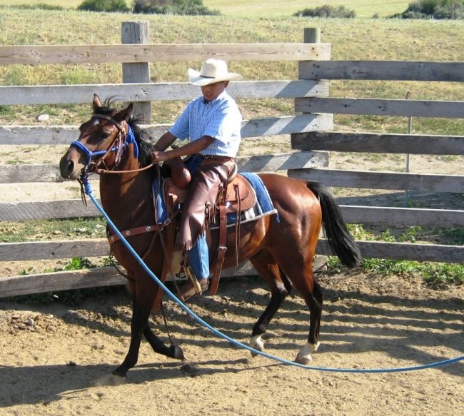 ...already trotting...