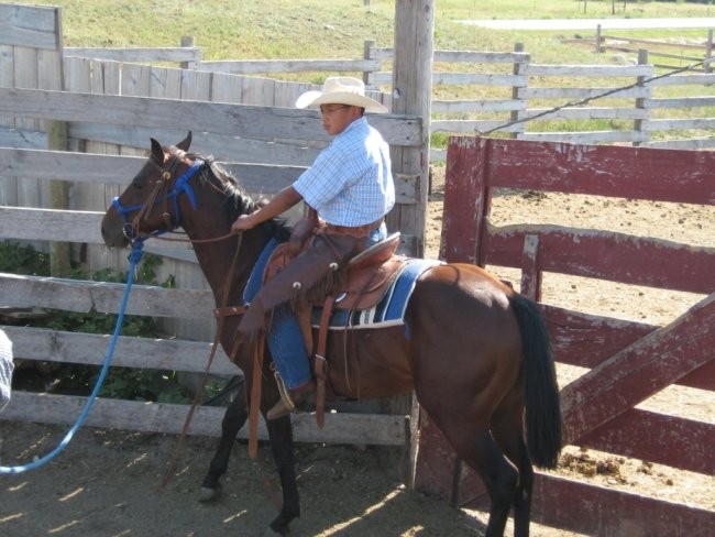 Jesse the Horseman gentling Two Socks