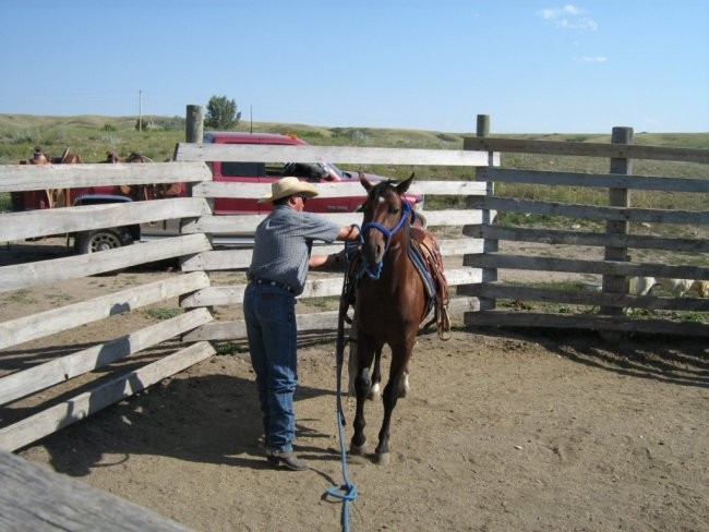 Sonny preparing Two Socks