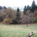 View from Roznik