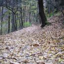 On way to Roznik, Ljubljana