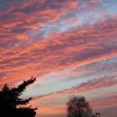 ...few more, taken from my room window