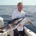 striped marlin okoli 80kg