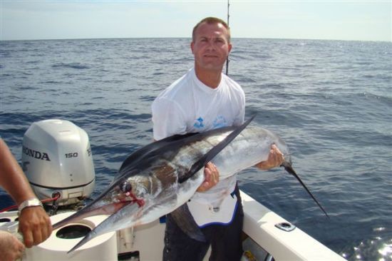 striped marlin okoli 80kg